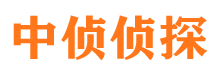 库车外遇调查取证